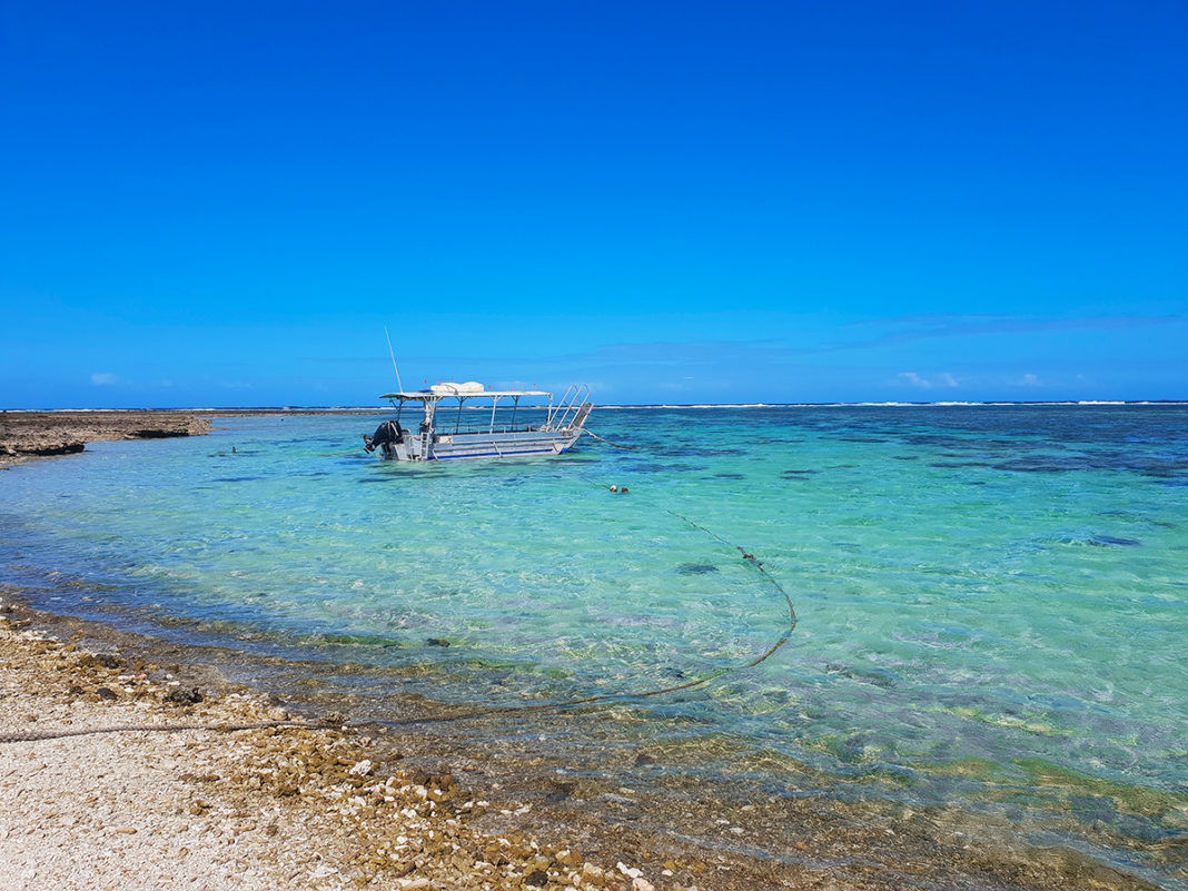 Lady Elliot Island