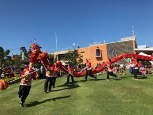 bundaberg dragon dancing