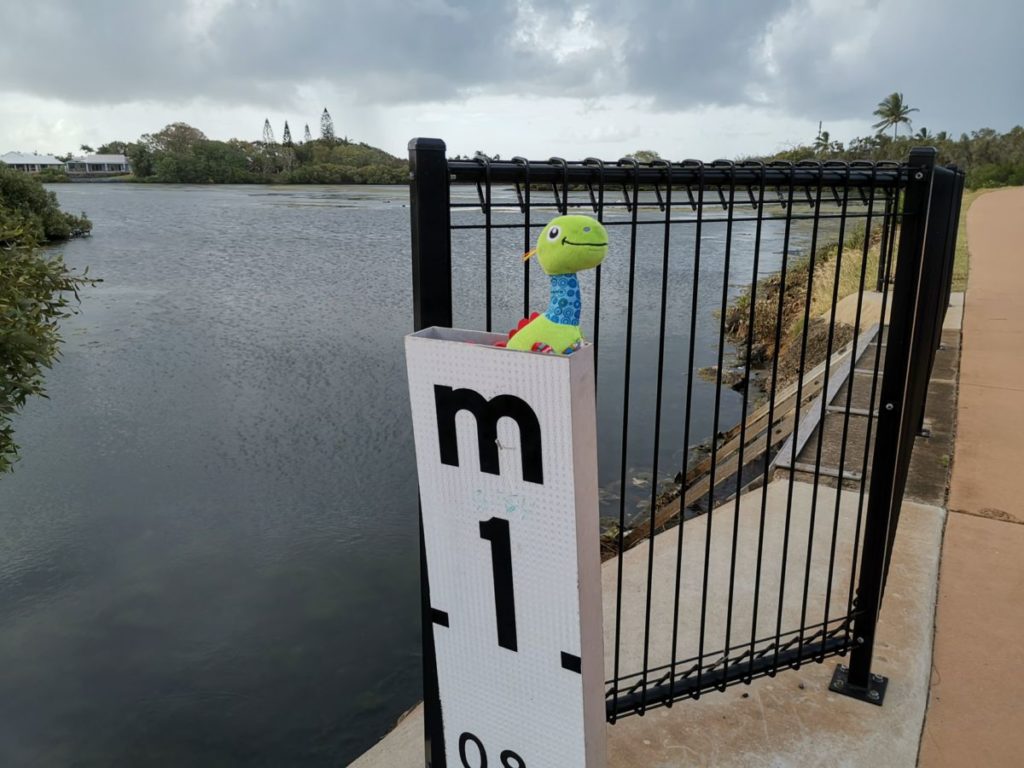 Moneys Lagoon Monster