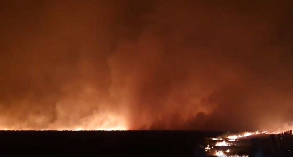 Woodgate fire