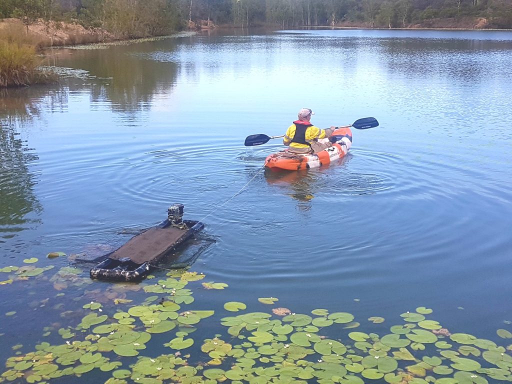 As part of a surveillance program basking platforms will be placed in local waterbodies