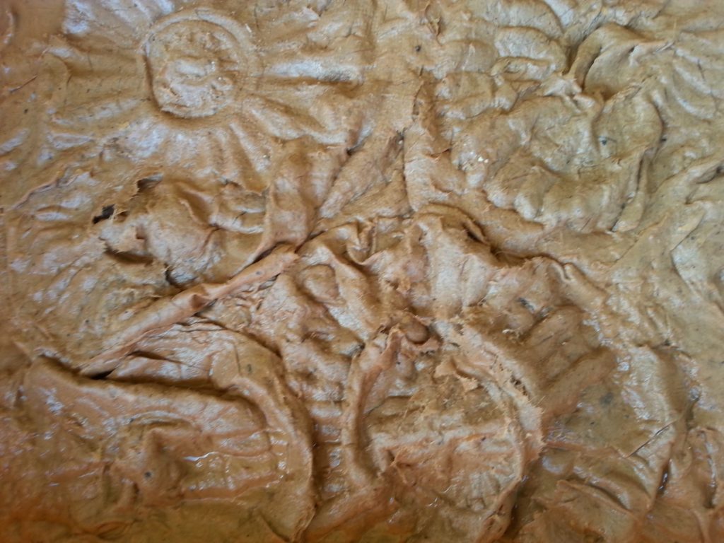 Cast paper coccolith forms showing distortion from plastic contamination of the plankton layer. The globally significant coccolithophore is Emiliania huxleyi, with a global distribution from the tropics to subarctic waters, forming a part of the planktonic base of virtually all marine food webs.