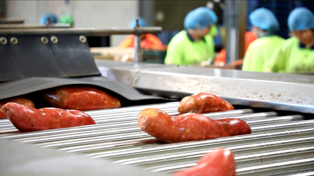 Greensill Farming Group