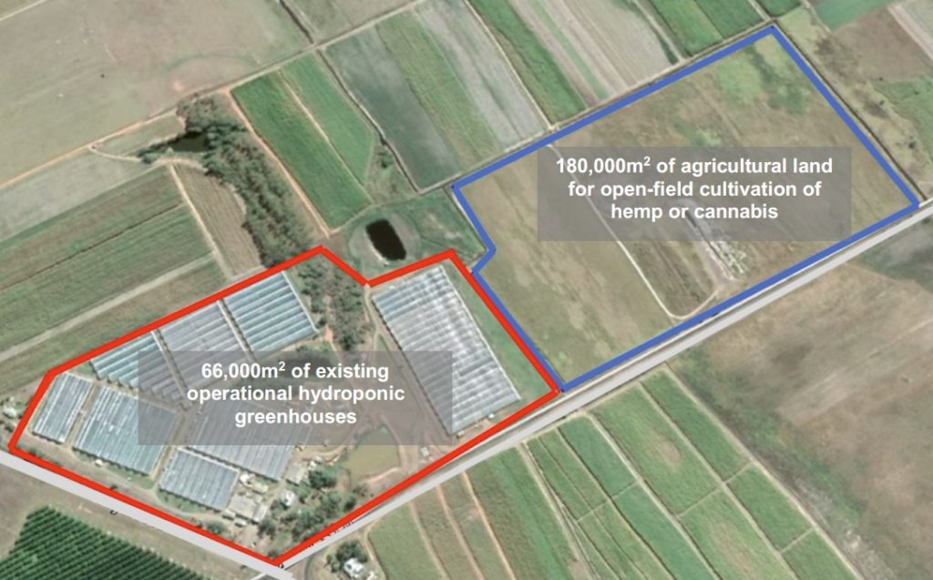 THC Global cannabis lease