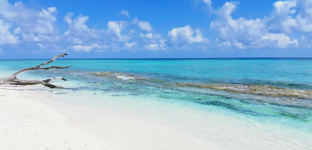 Lady Musgrave Island beach