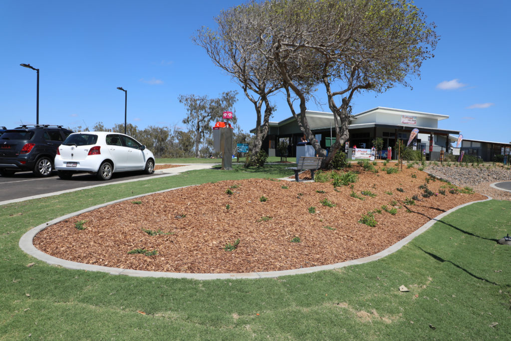 New plantings Elliott Heads