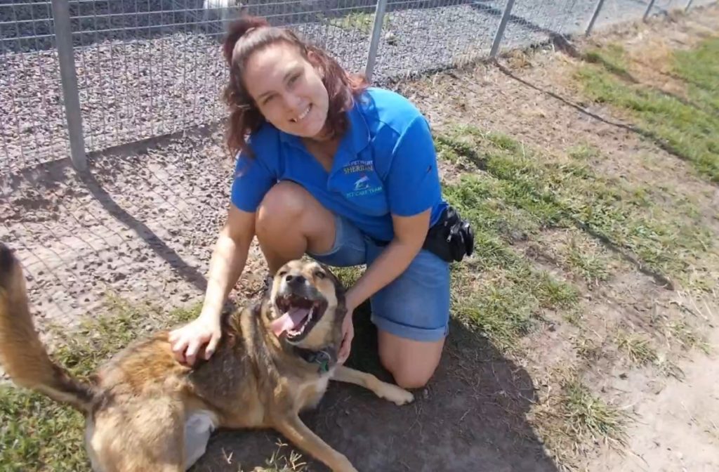 Isis Pet Resort staff member with Bandit. 