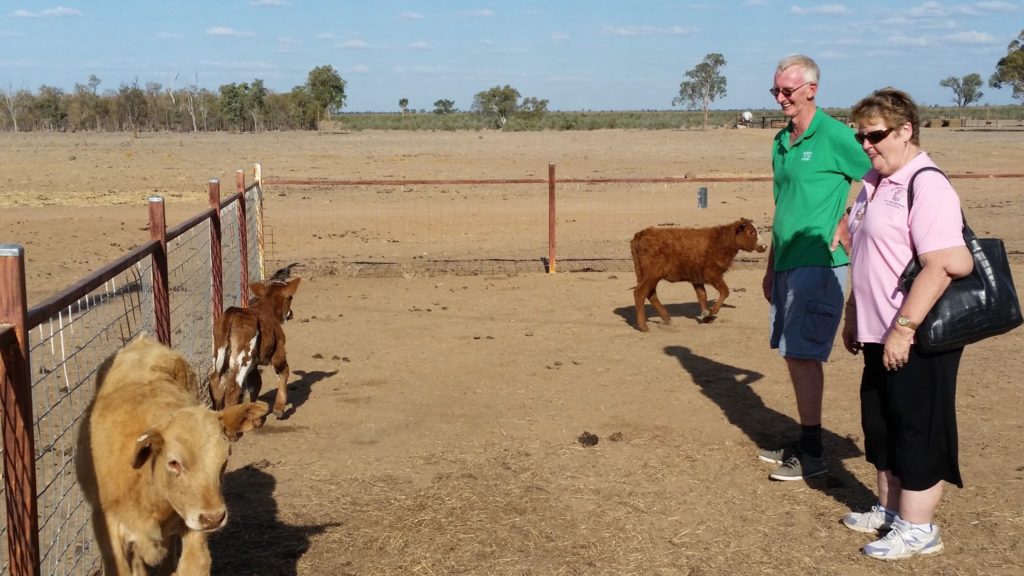 Louise Laffey Jericho Farmers