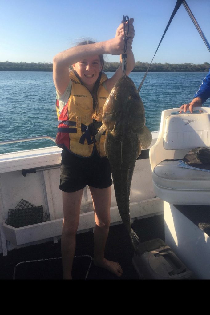 flathead