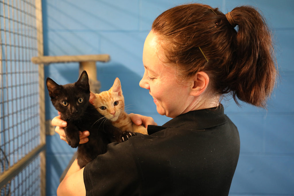 RSPCA