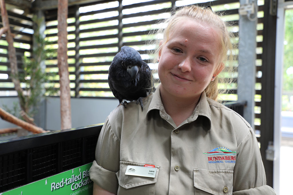 Clancy zoo