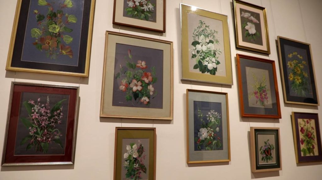 Finding Vera Scarth-Johnson art