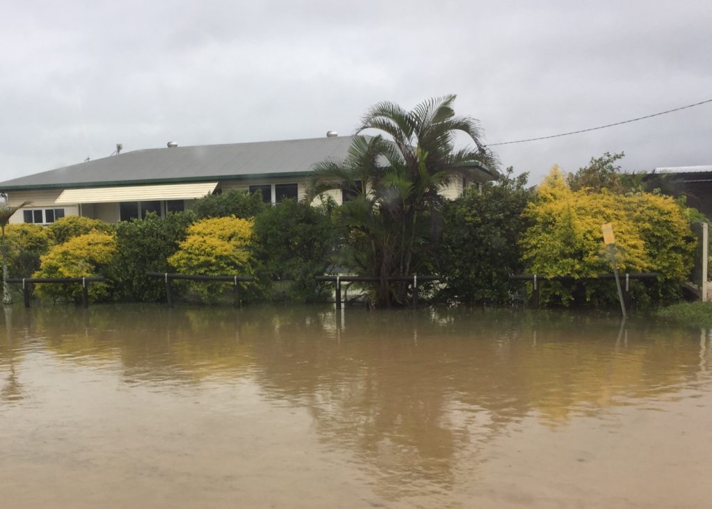 Welcome rain on Moore Park Road