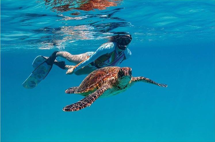 Aussie Bucket List