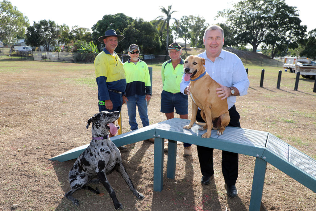 dog agility equipment