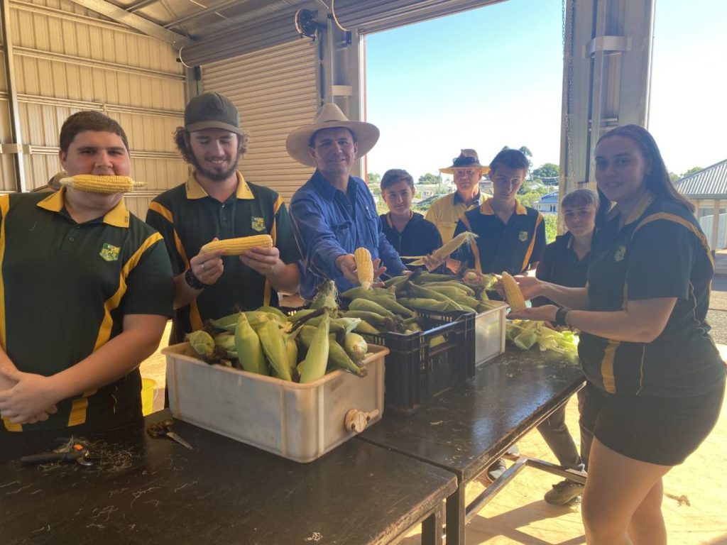 Isis District High School Childers corn