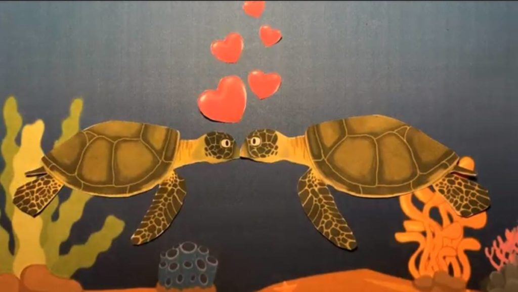 Will Gregson-Allcott turtle conservation