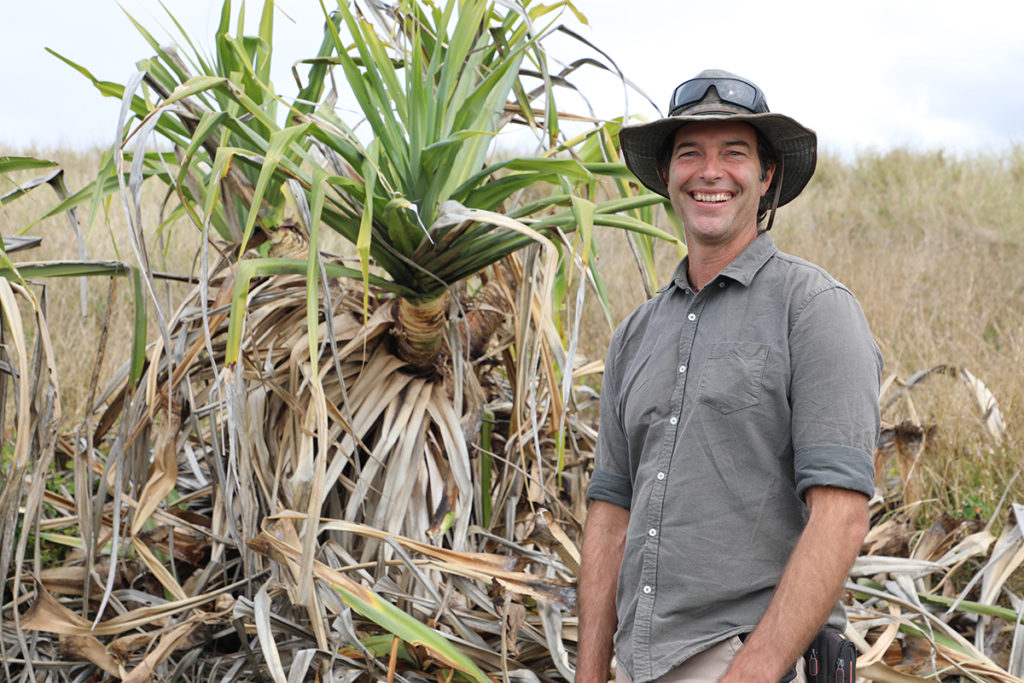 03082020 Pandanus Dieback Workshop 01
