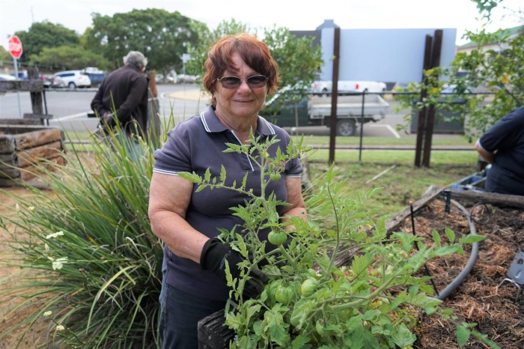 Gavin Street Community Garden