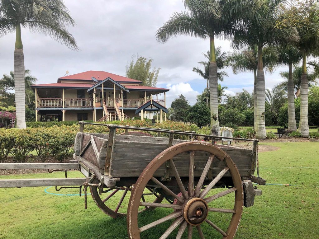 Michael and Janine Tyler’s renovated Queenslander is set on acreage complete with pool and mature gardens.