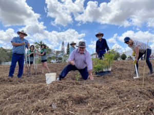 One Million Trees Bundaberg