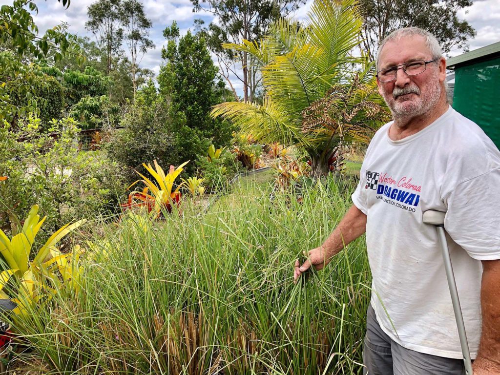Greg Jackson with a section of the vetiver grass grown commercially on their property. The grass is a renowned environmental champion.