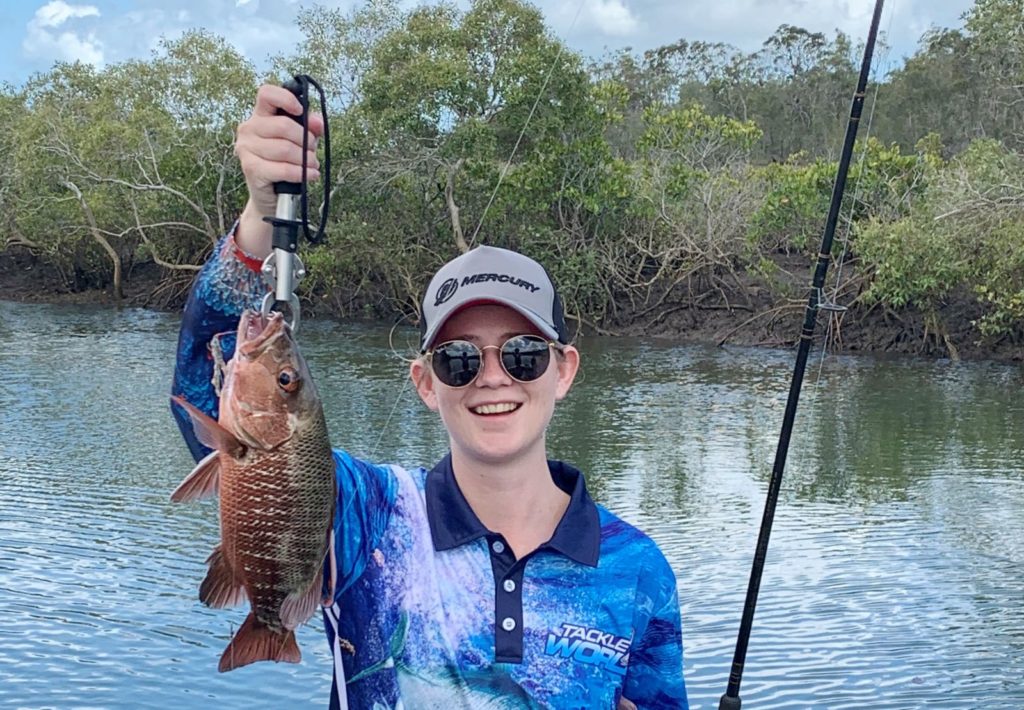 Mangrove jack