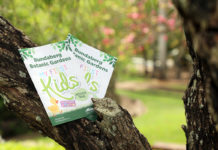 School holiday activities at Bundaberg Botanic Gardens