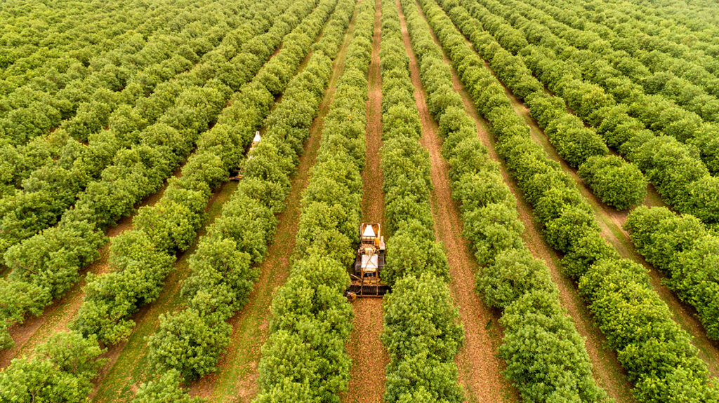 2020 national crop