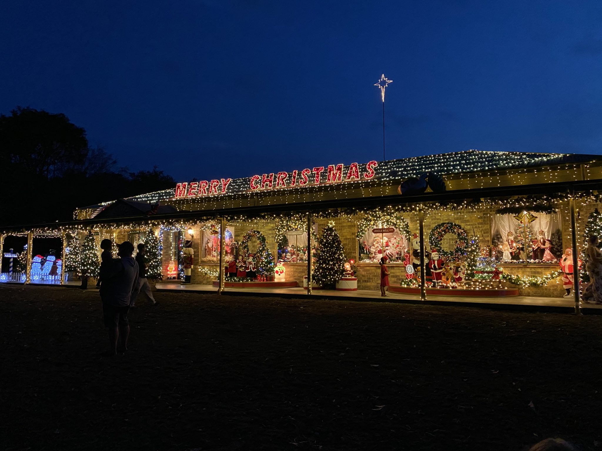 Paradise Lane Christmas Lights