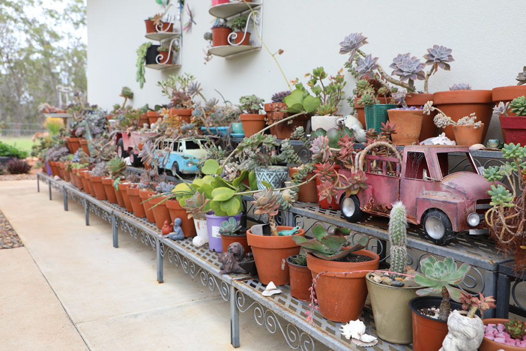 Irene and Lui's Garden
