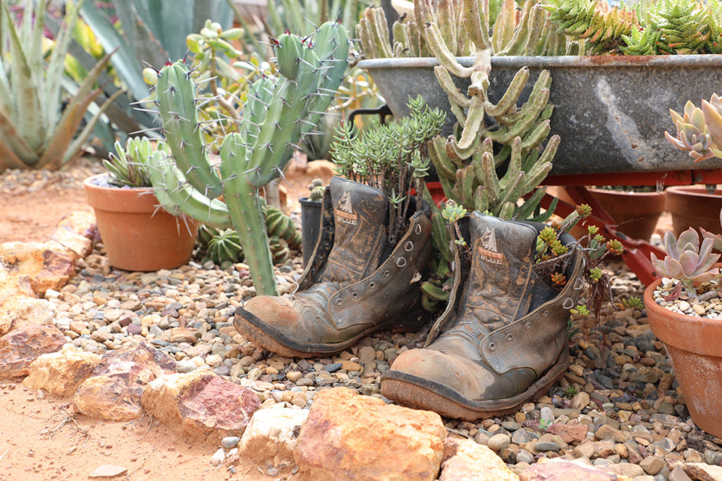Irene and Lui's Garden