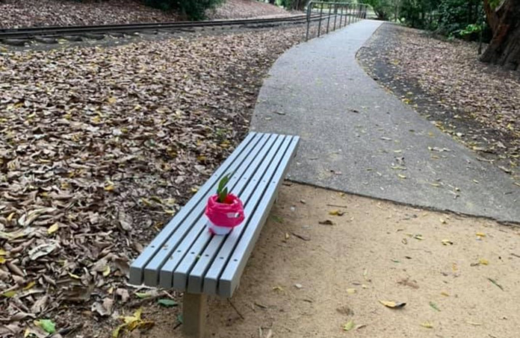 Indoor Plant Drop Australia