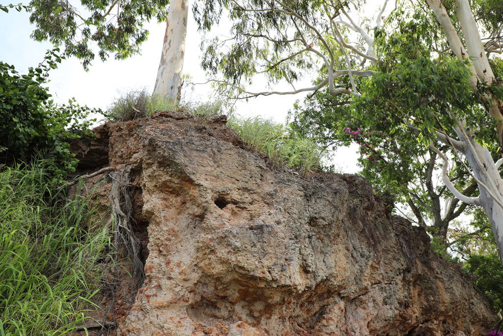riverbank stabilisation