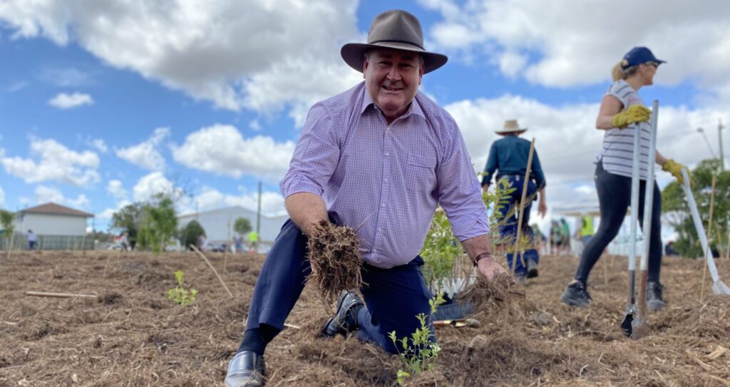 Council's One Million Trees project awarded – Bundaberg Now