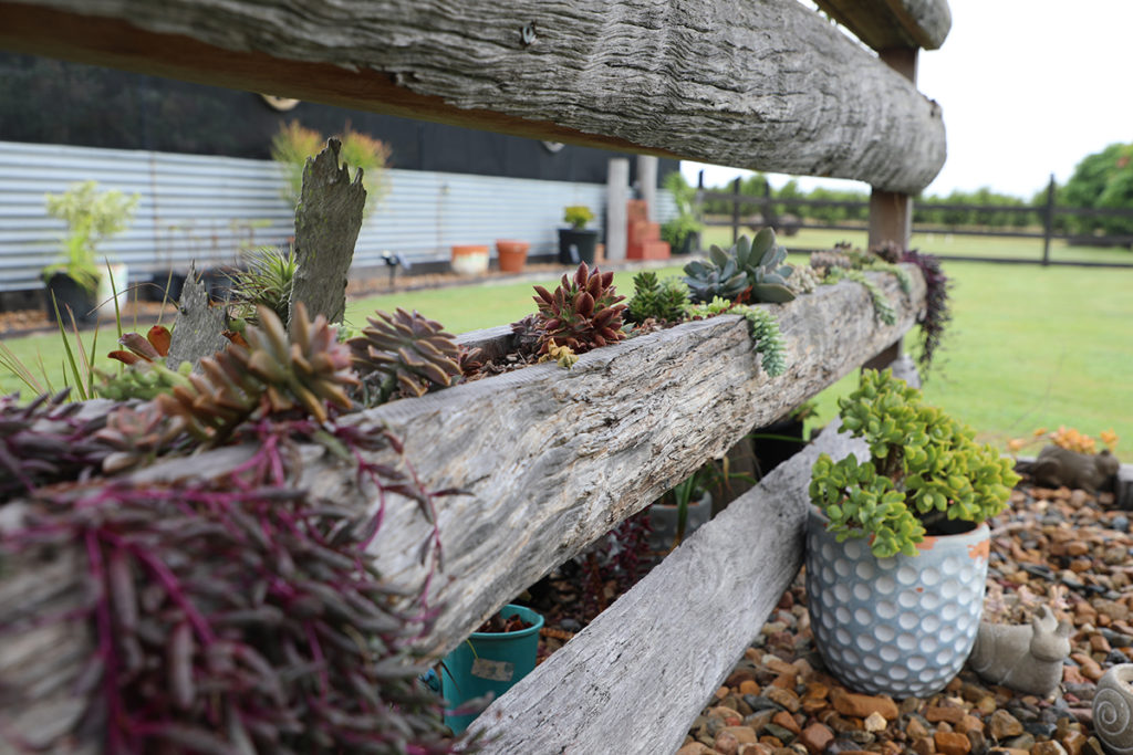kym garden