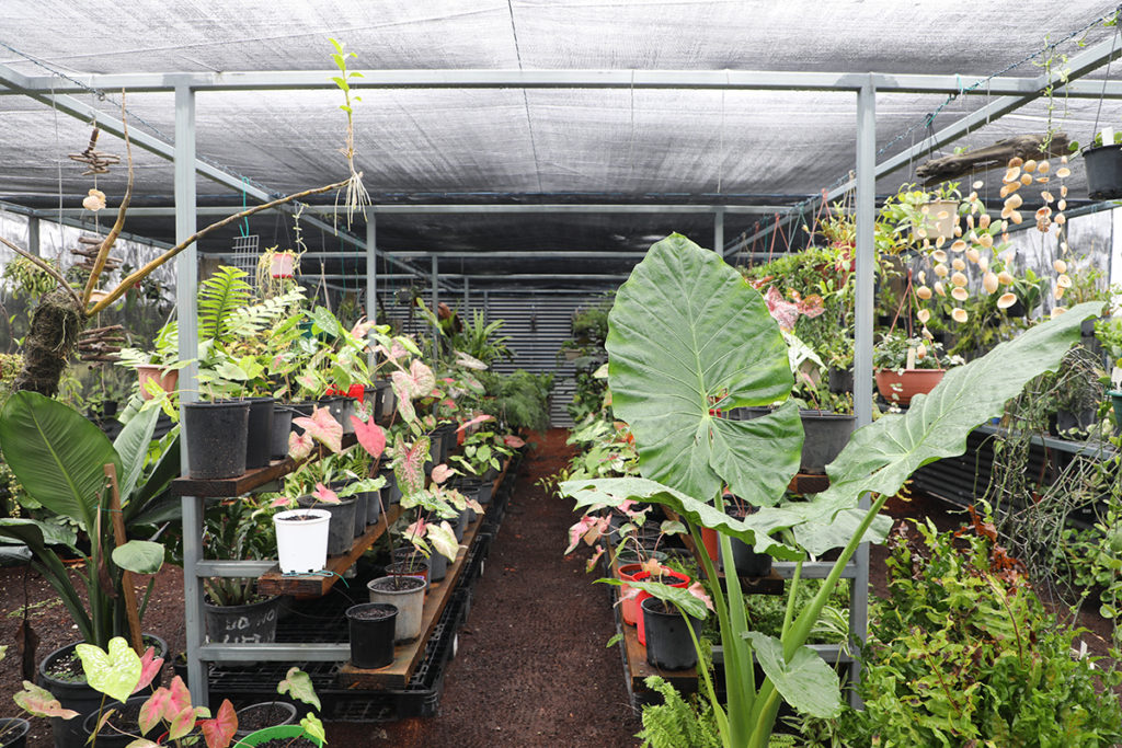 kym garden