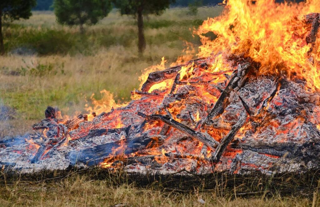 fire ban