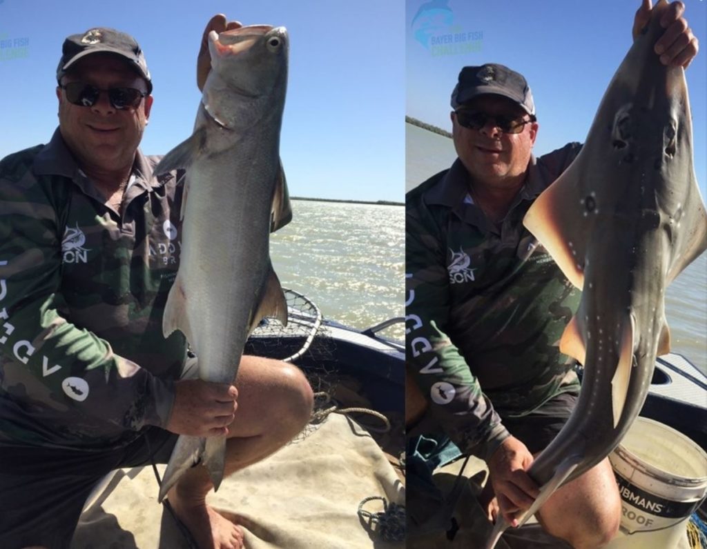 Bayer Big Fish Challenge