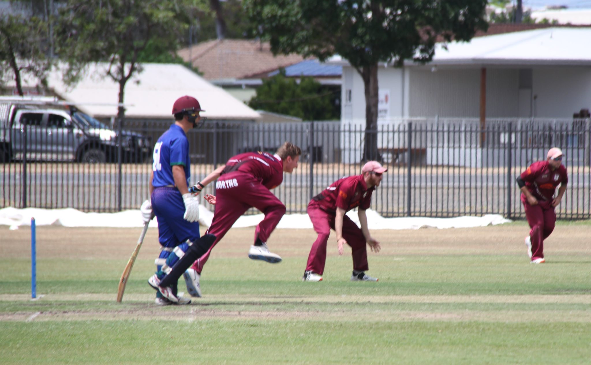 cricket