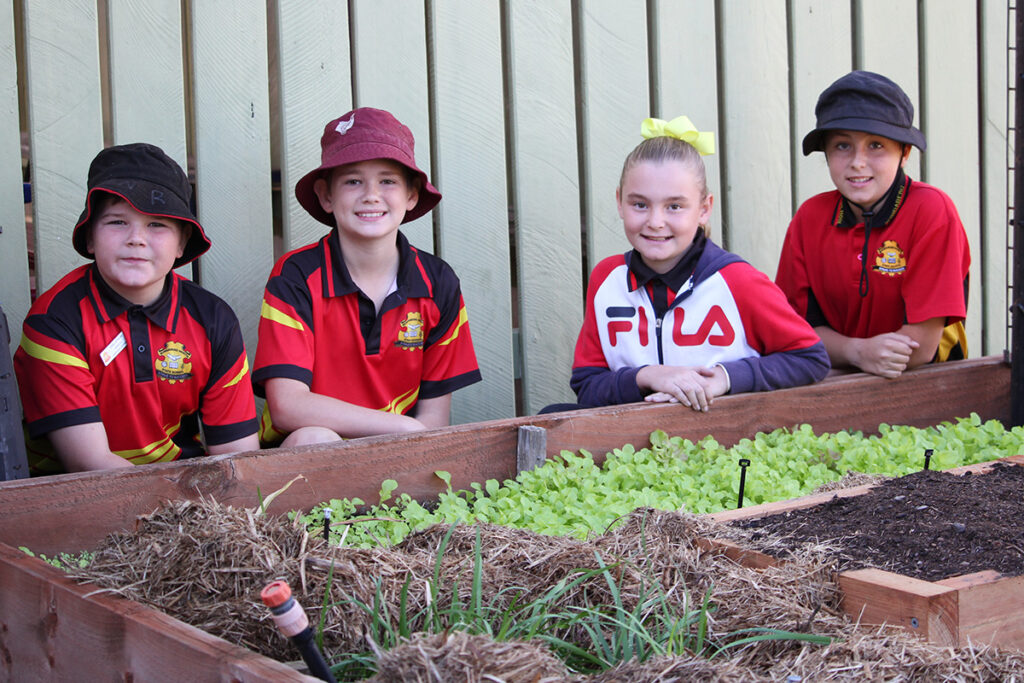 bundaberg north pick of the crop