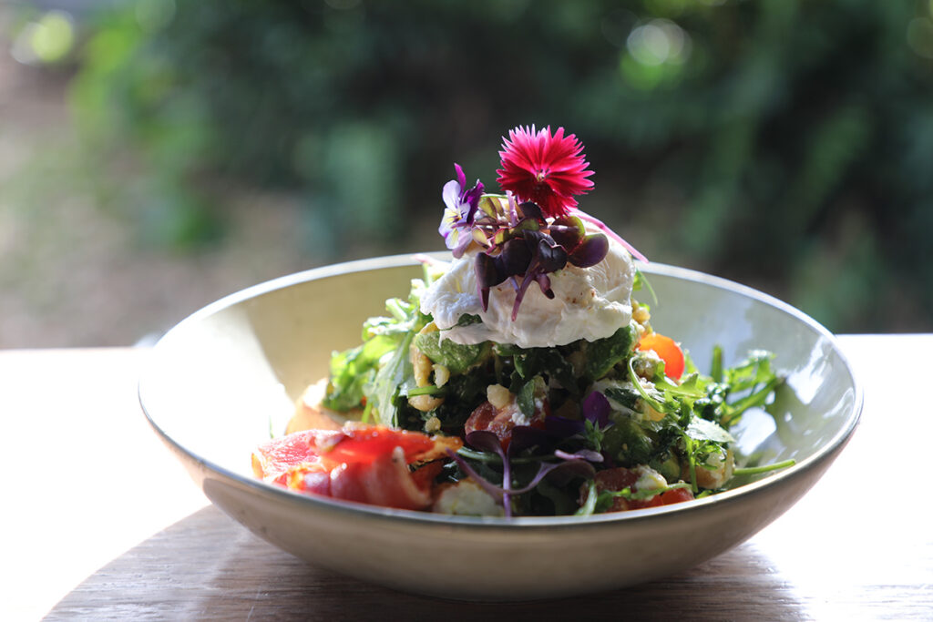 Windmill Cafe Breakfast Bowl