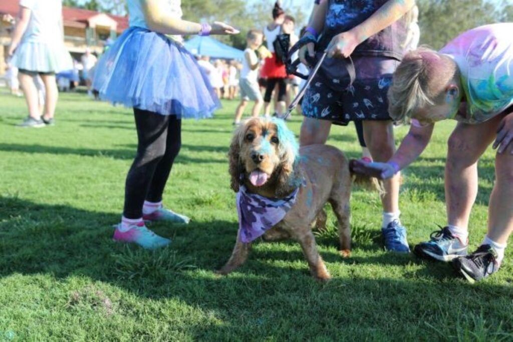 Colour Frenzy Bundaberg