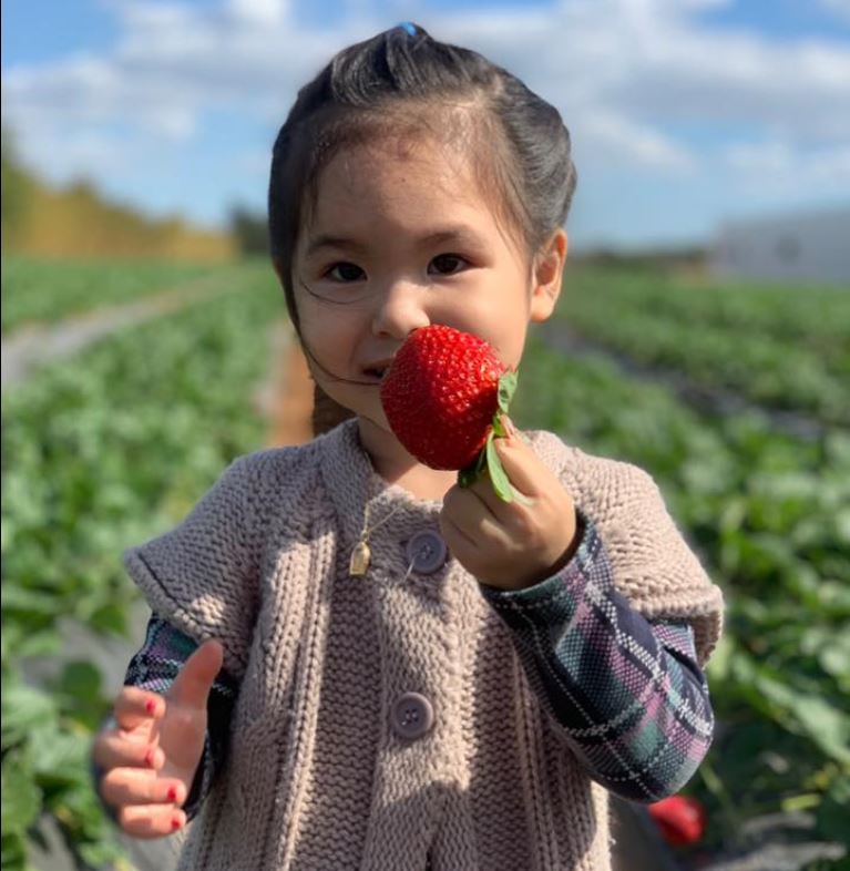 Moon Festival Bundaberg