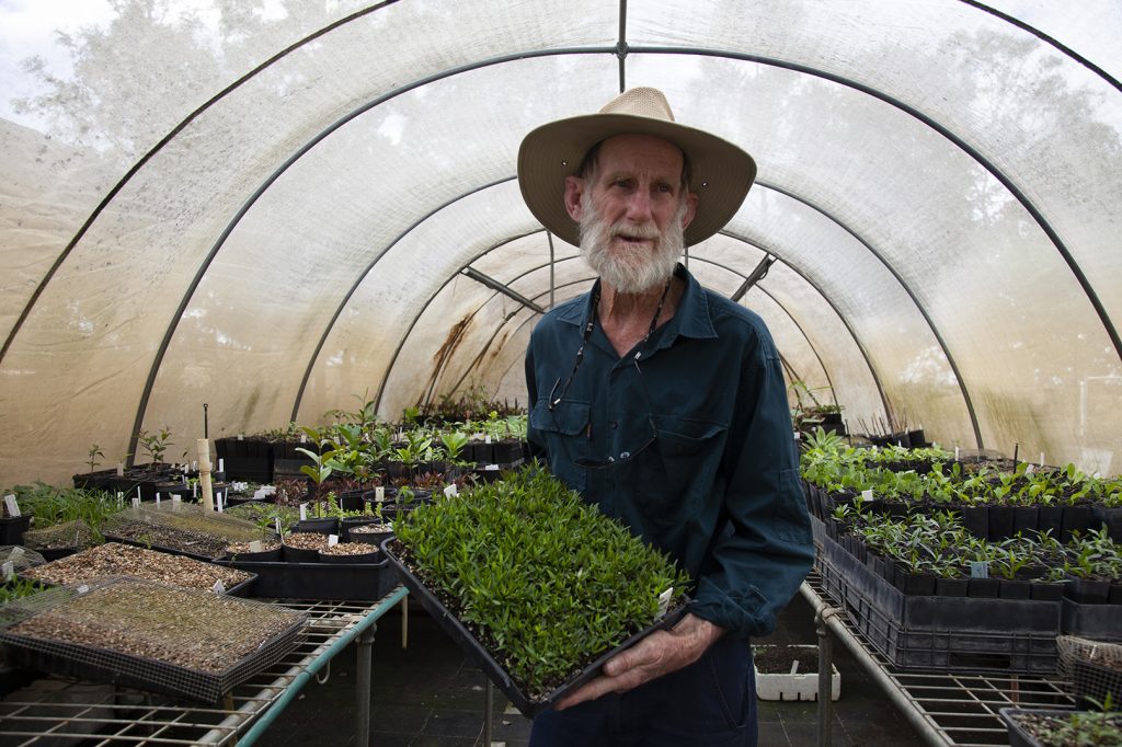 Ray passion environment