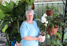 Katrina Weismann gardening to mend a heavy heart