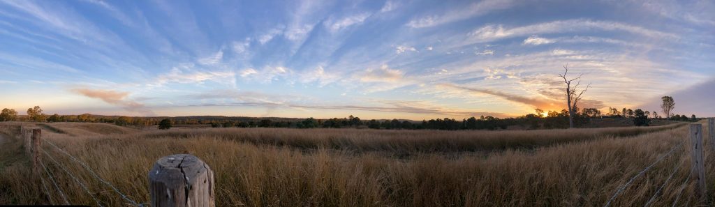 enjoying the vista