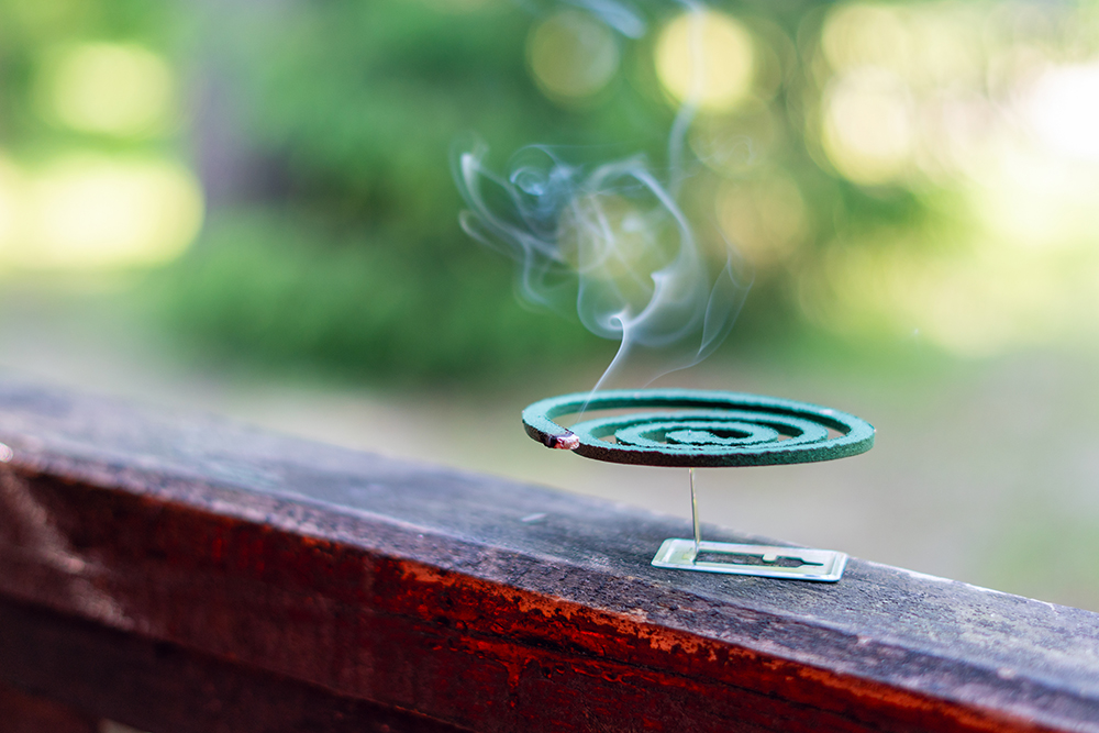 Professor Taylor-Robinson mosquitoes