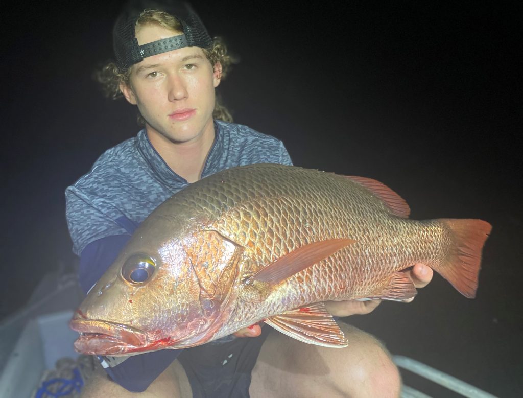 Baffle creek mangrove jack