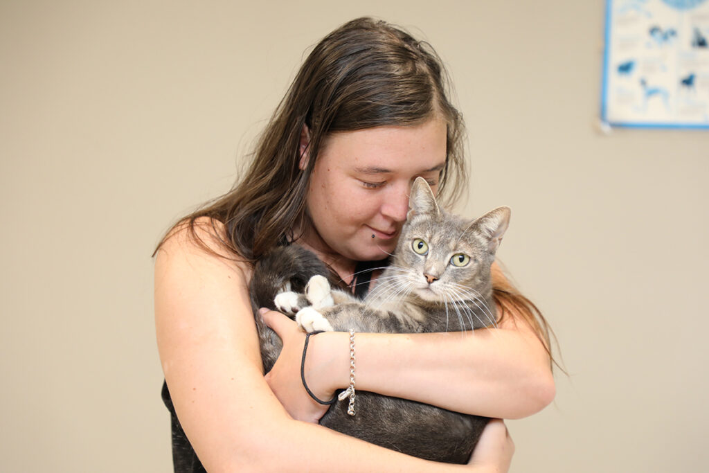 Nicole cat missing